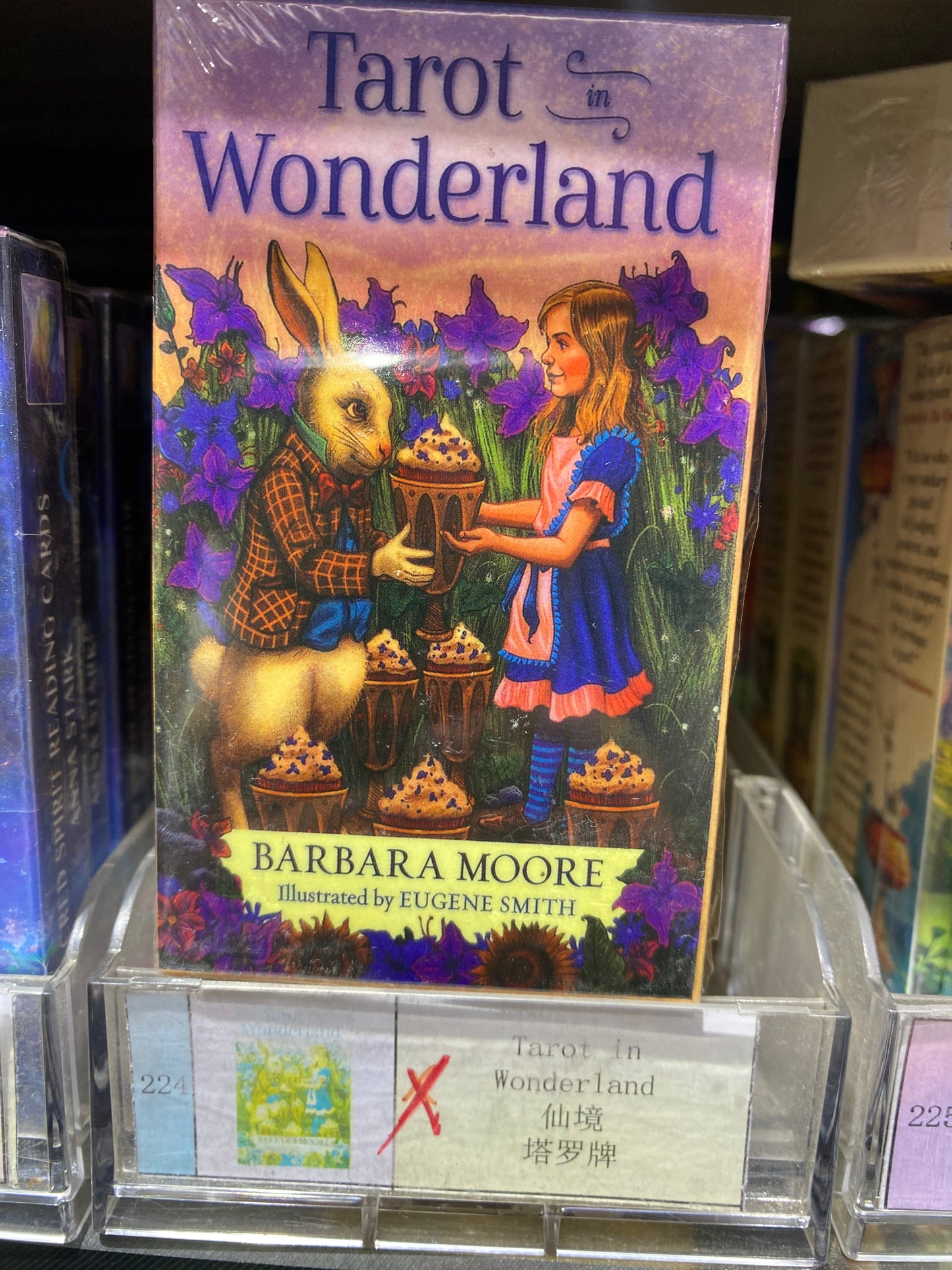 TAROT CARD(223-232)