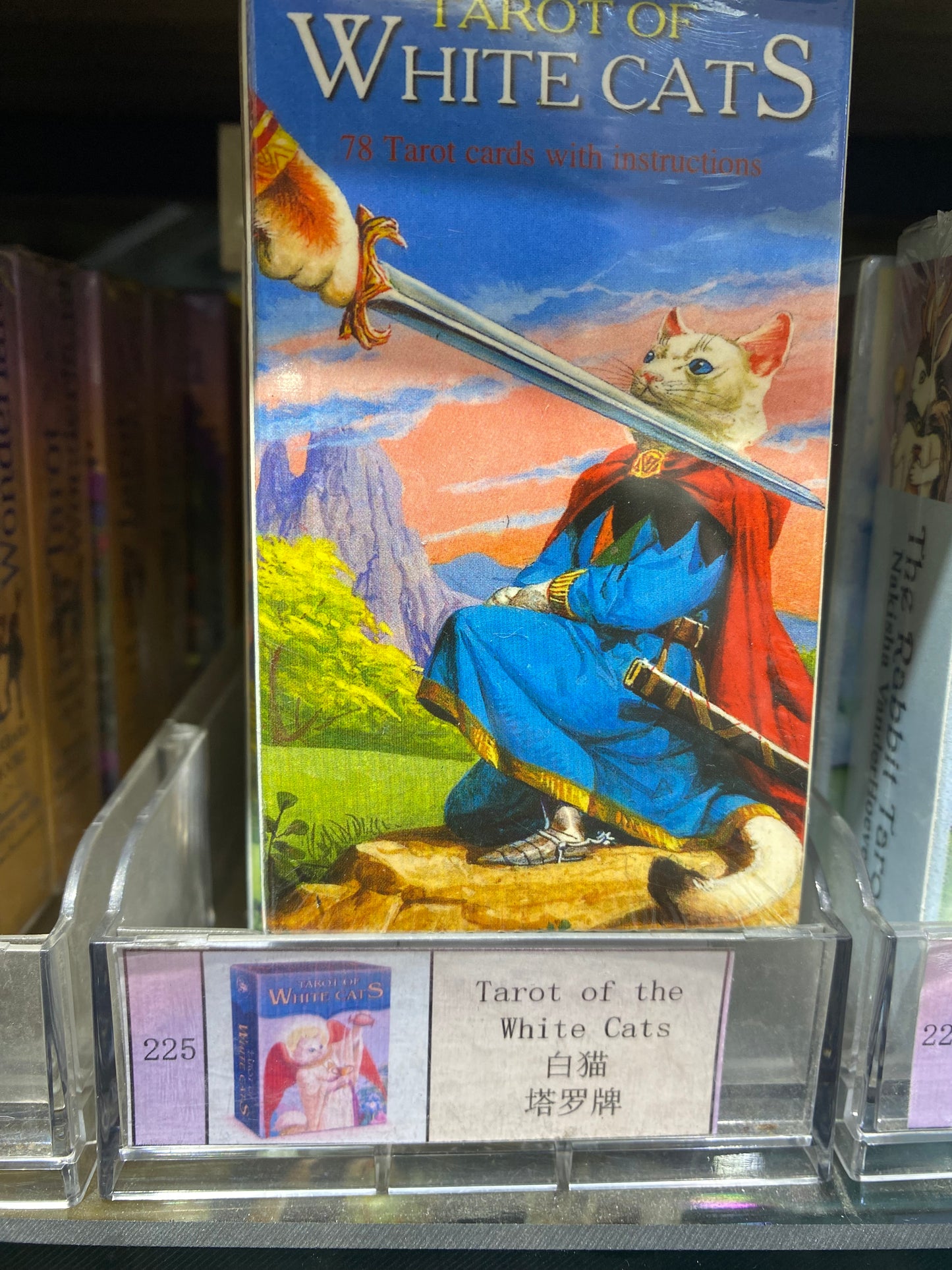 TAROT CARD(223-232)