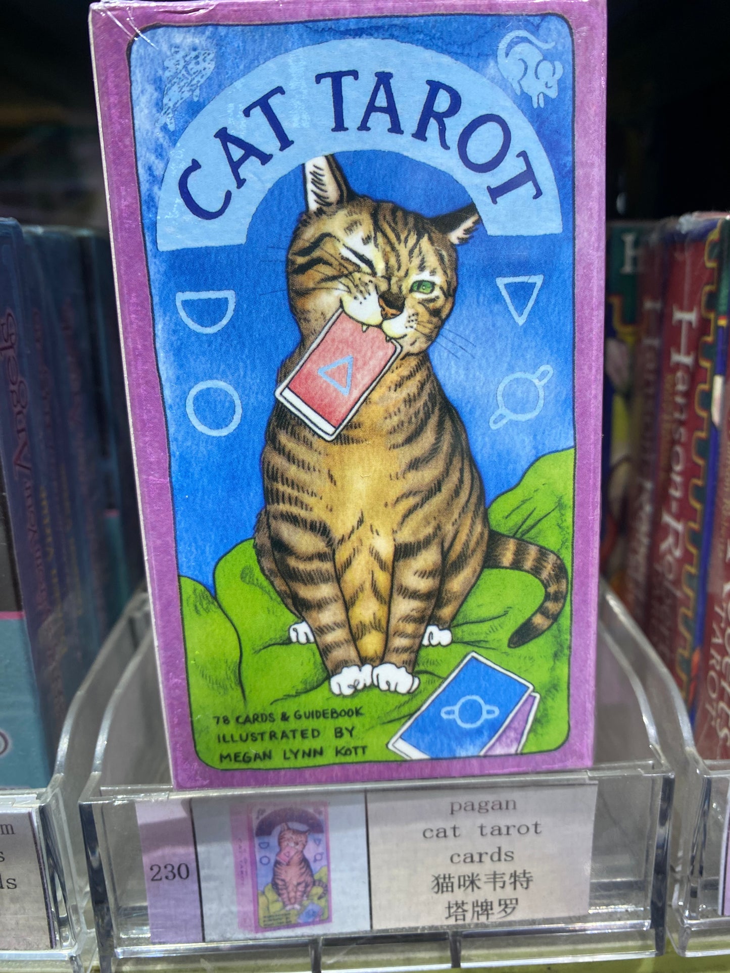 TAROT CARD(223-232)