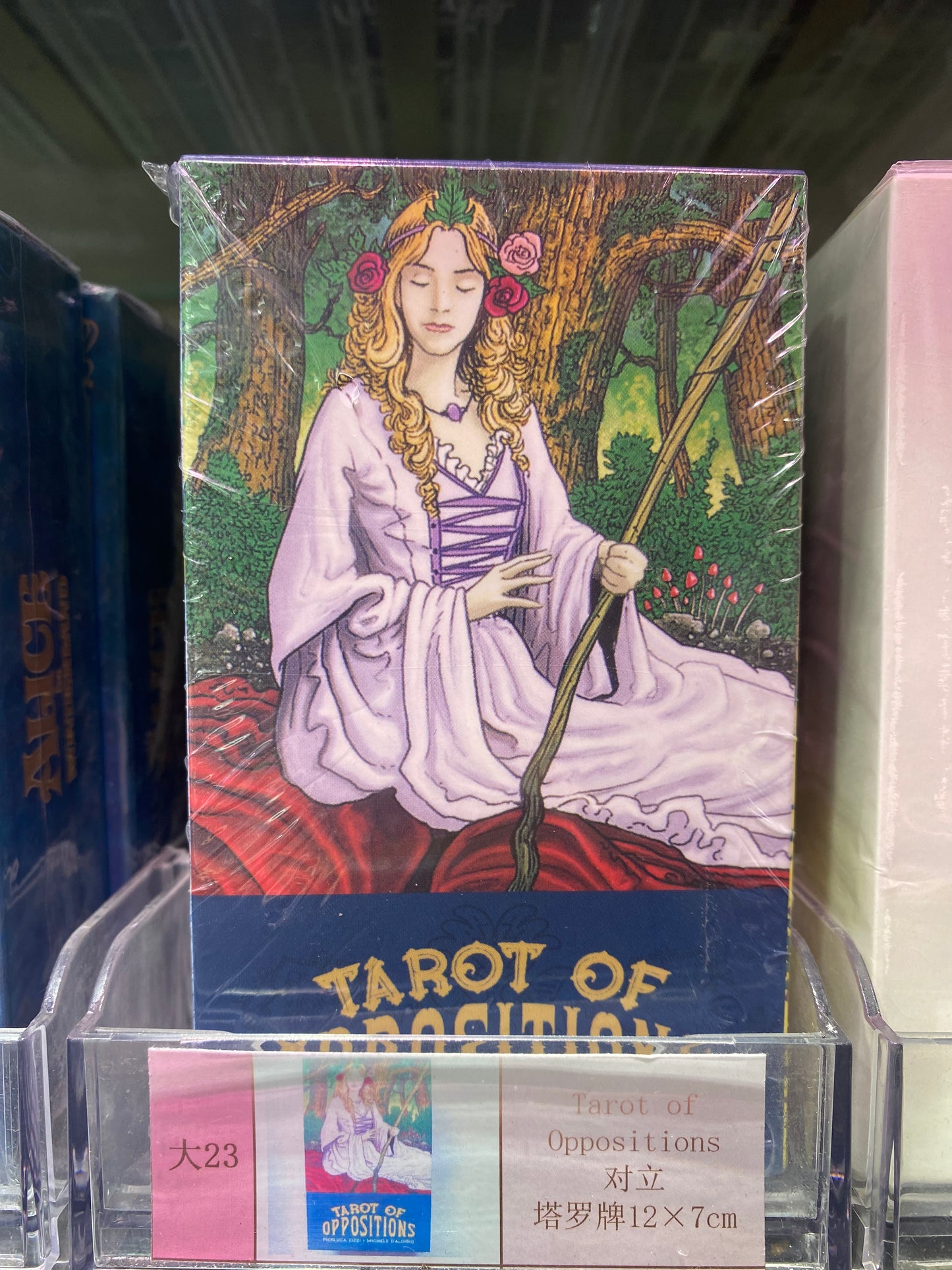 TAROT CARDS(BIG SIZS 21-30)