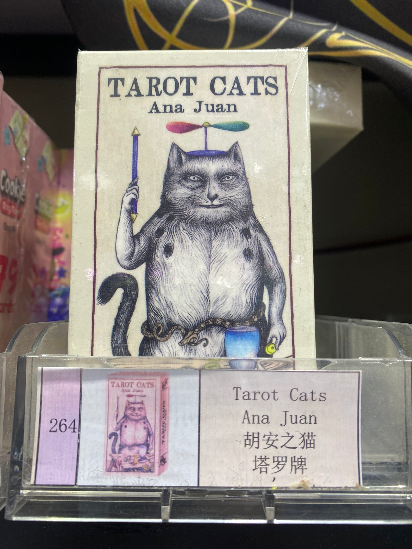 TAROT CARD (261-270)