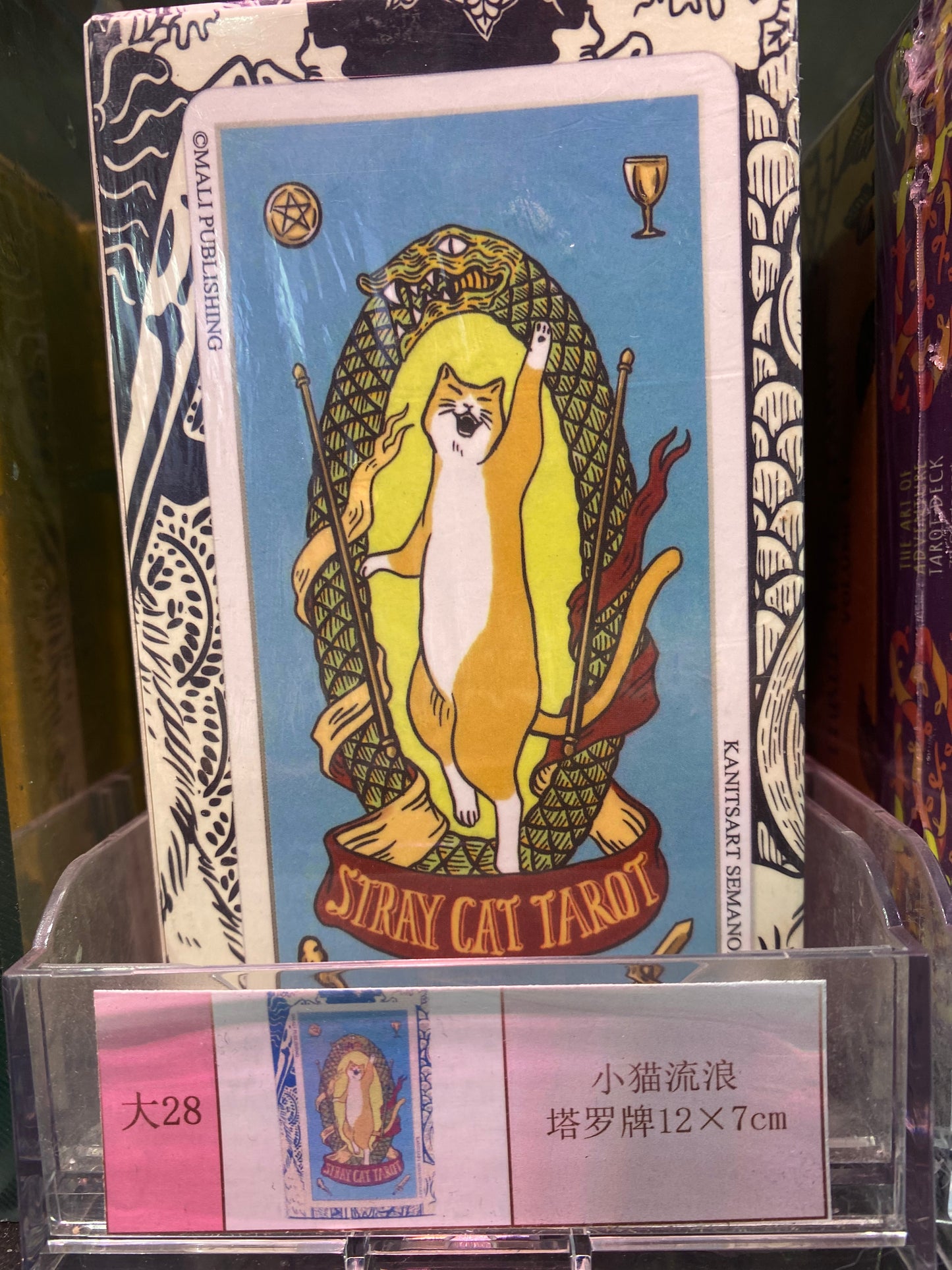 TAROT CARDS(BIG SIZS 21-30)