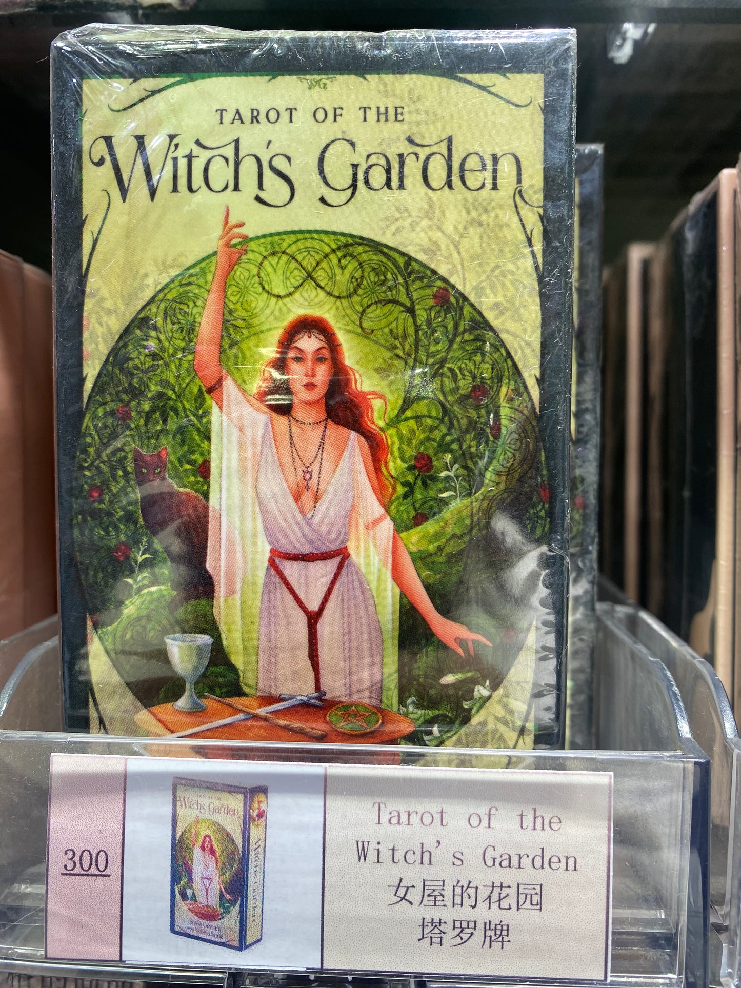 TAROT CARD(291-300)