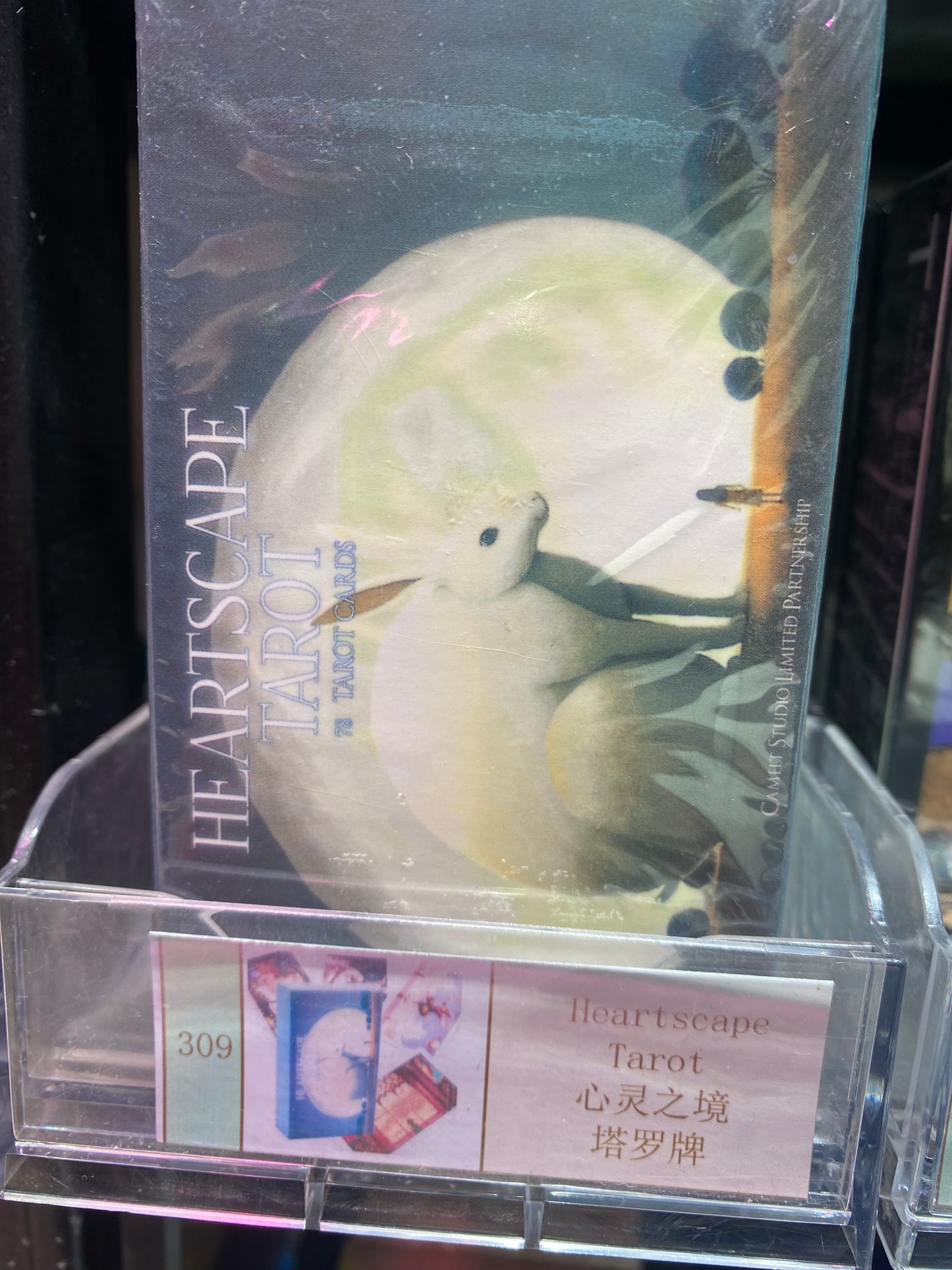 TAROT CARD(301-310)