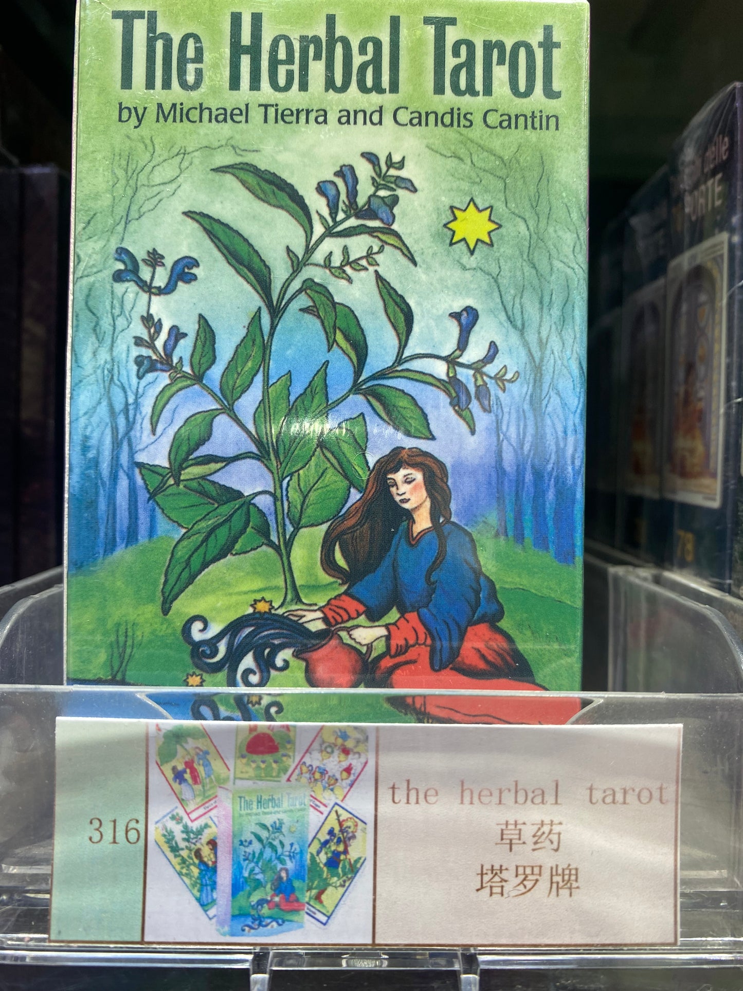 TAROT CARD(311-320)