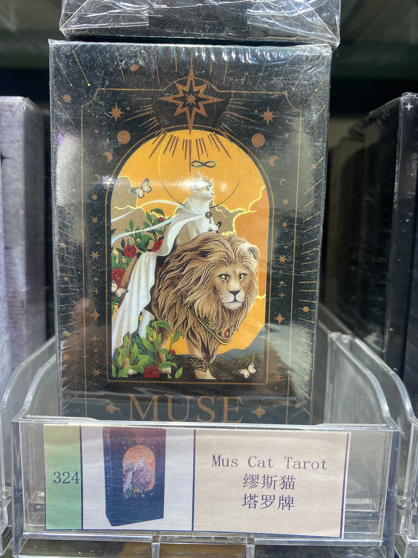 TAROT CARD(321-326)
