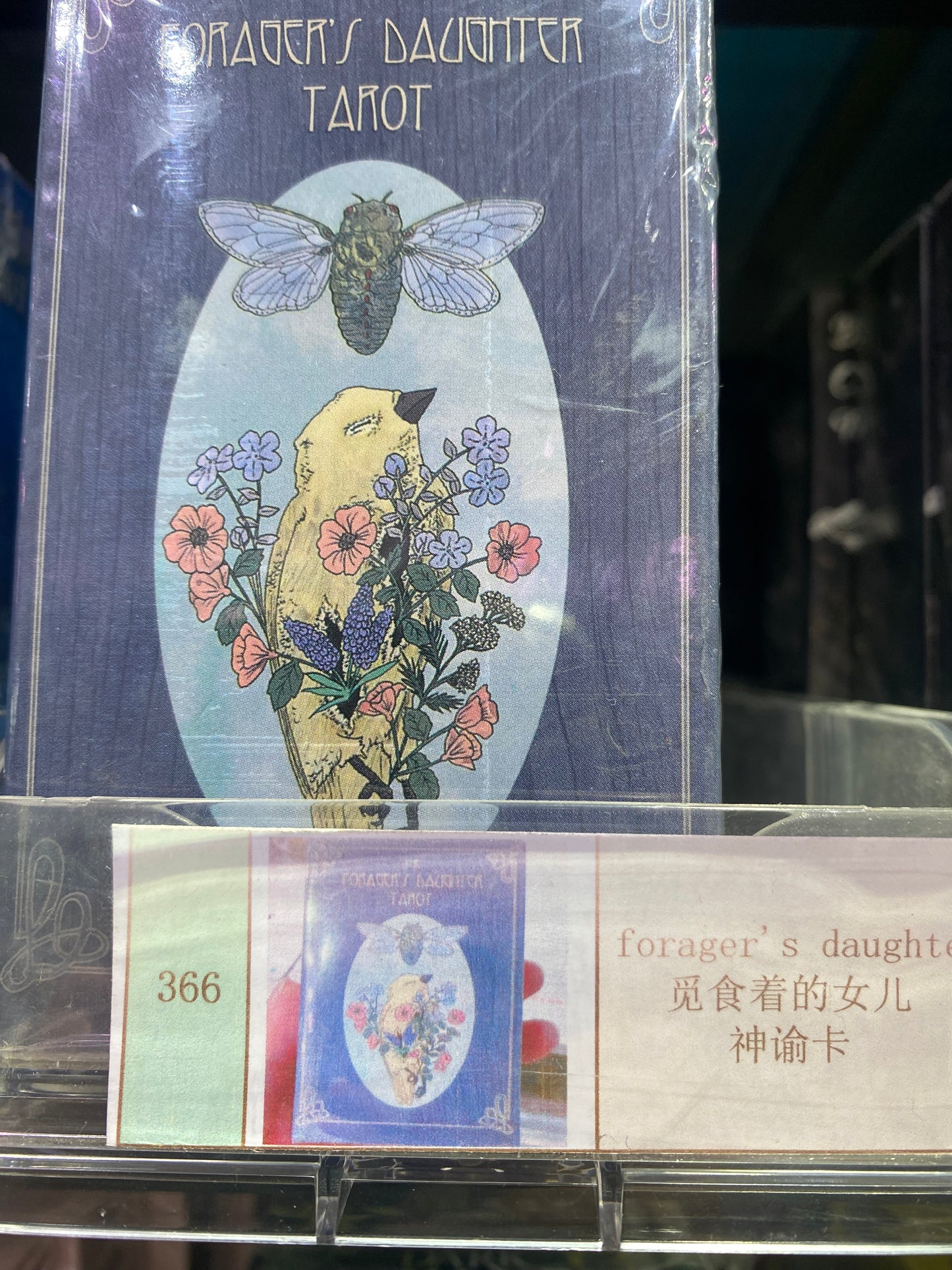TAROT CARD(360-367)