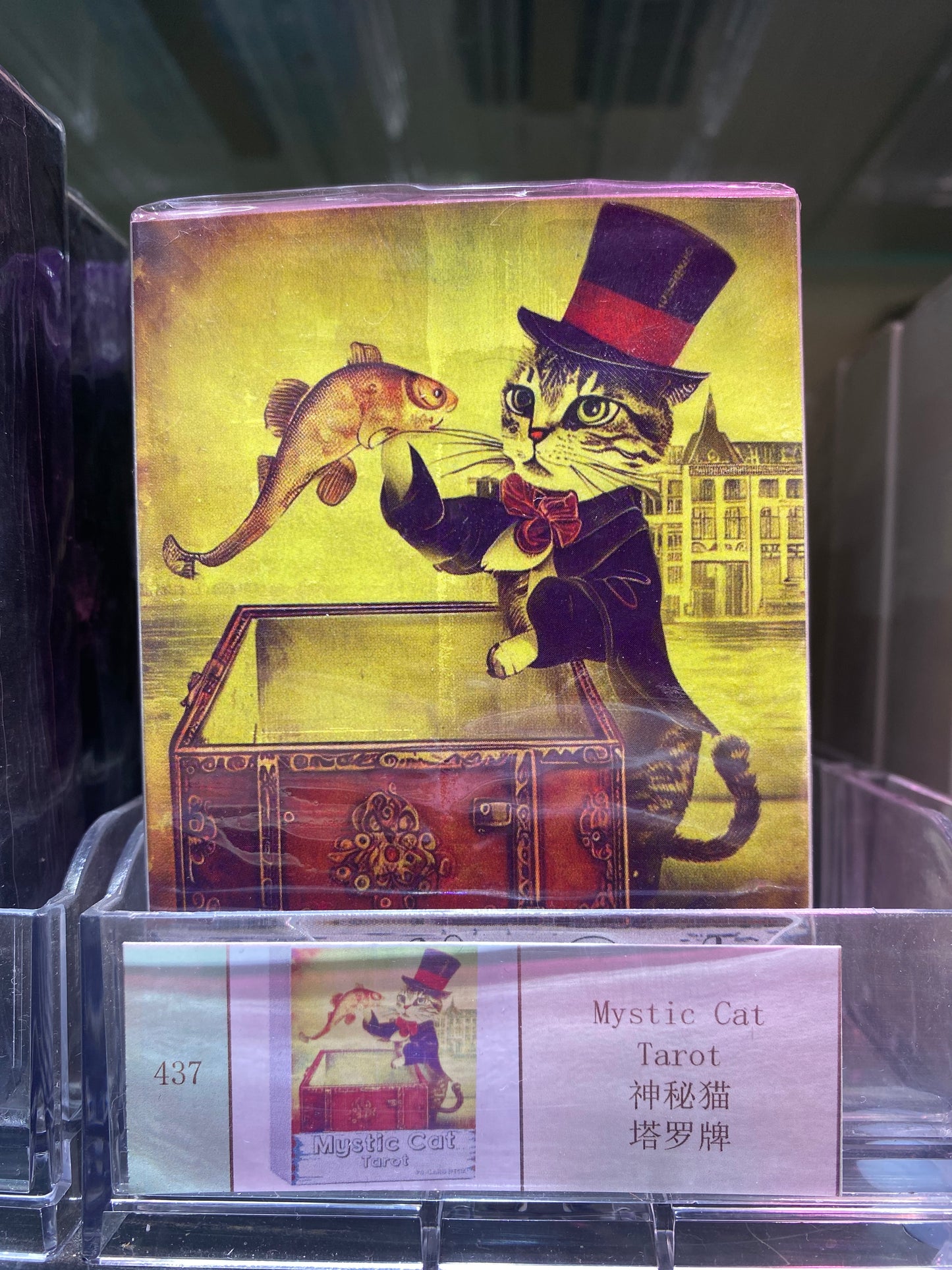 TAROT CARDS(431-440)
