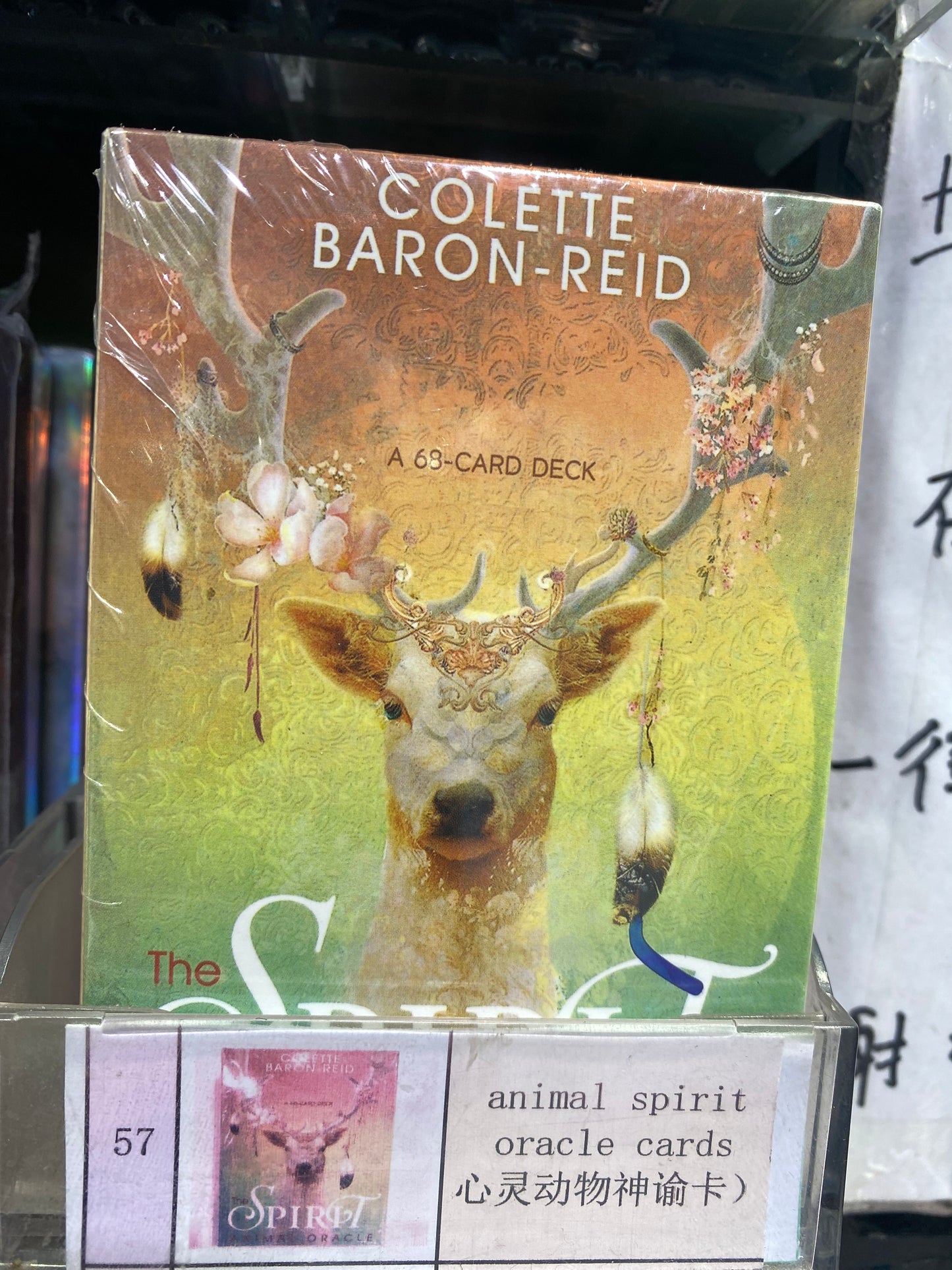 tarot card(51-60)