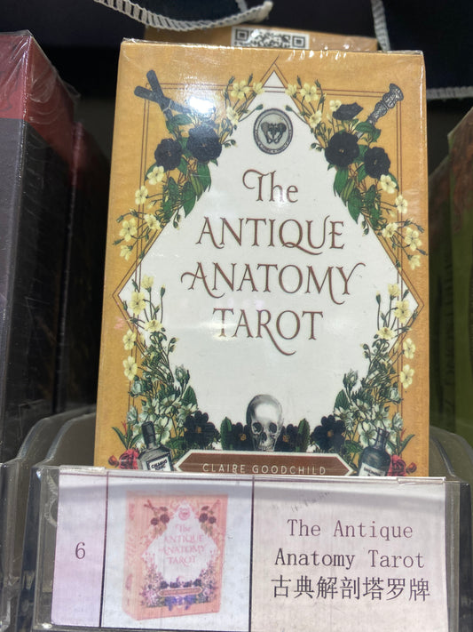TAROT CARD(6-10)